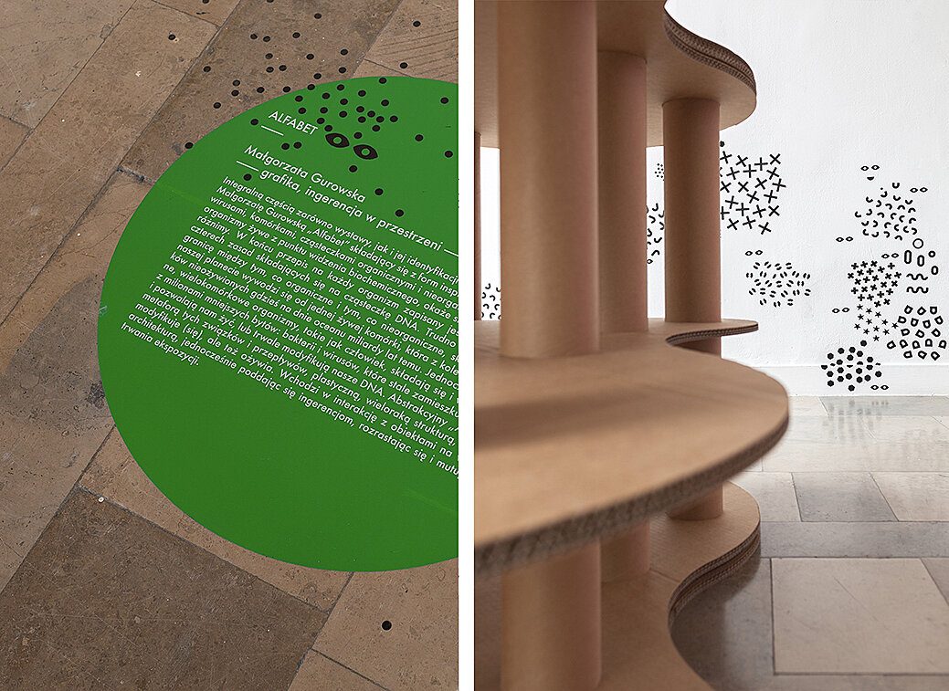 zoepolis - galeria 6