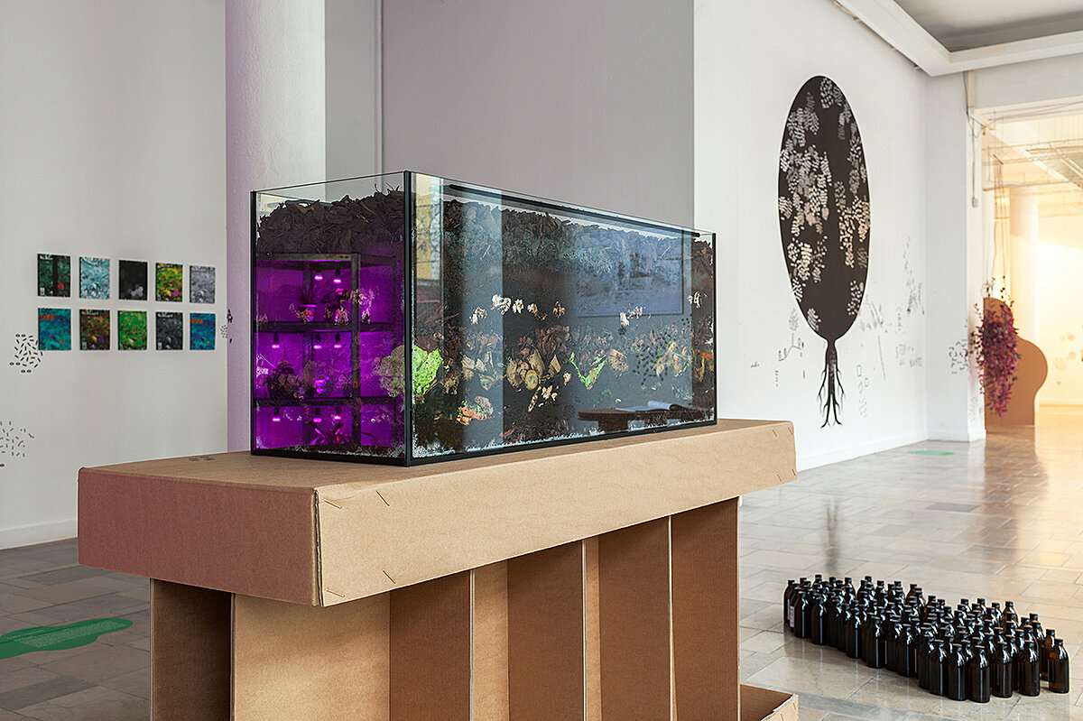 zoepolis - galeria 7