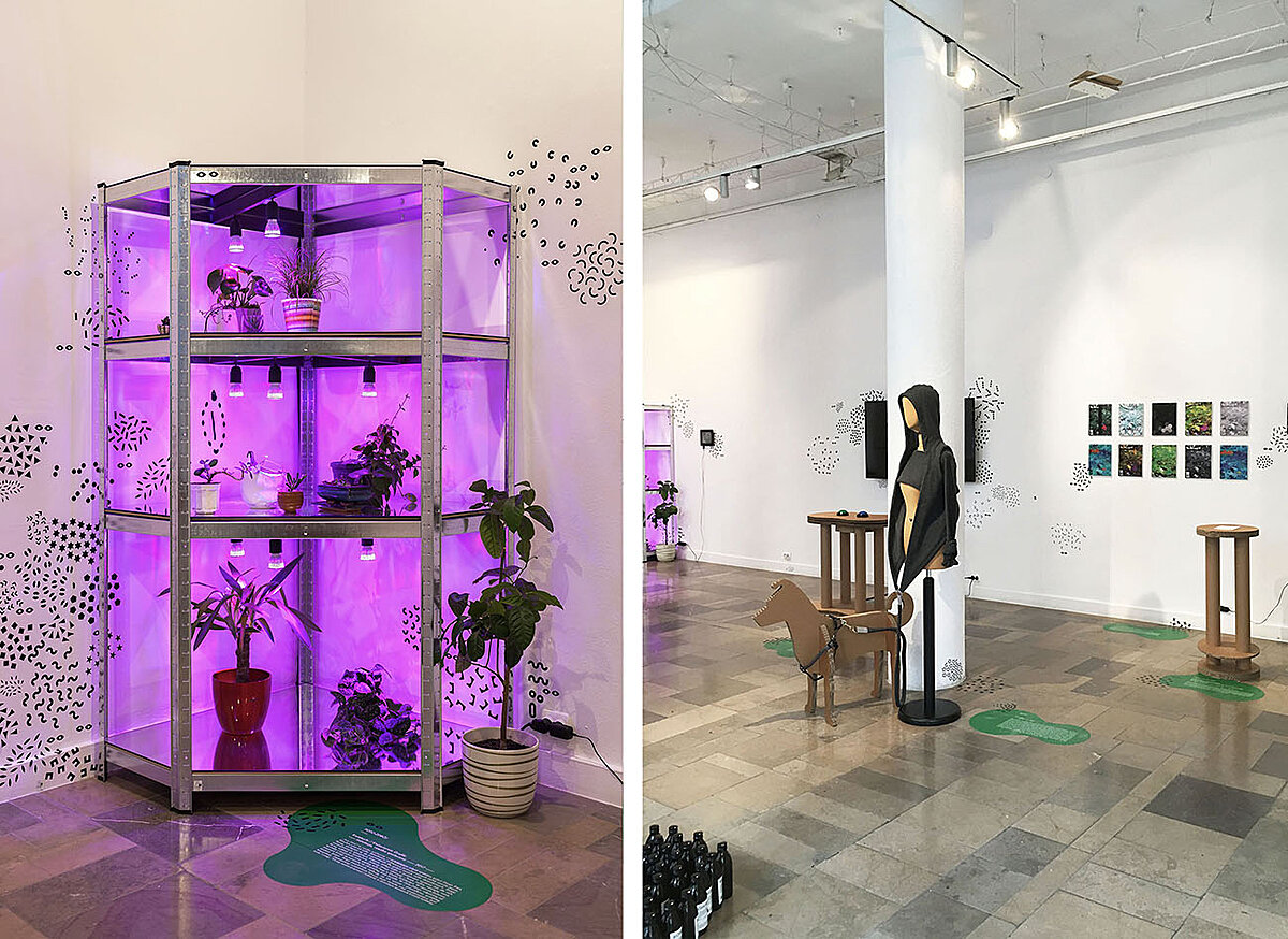 zoepolis - galeria 8