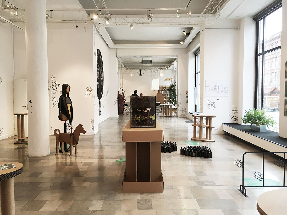 zoepolis - galeria 2